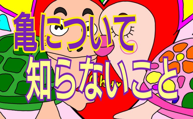 5月23日世界亀の日 キスの日 亀に関するプチ雑学 可愛いイラスト なかよしmarket なかマケ